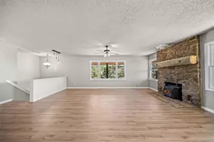 841 Plateau Dr, Guffey, CO 80820 - Photo 7