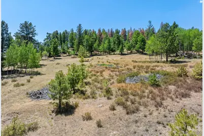 841 Plateau Drive, Guffey, CO 80820 - Photo 43