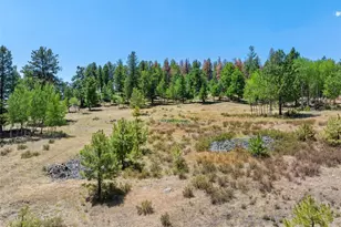 841 Plateau Dr, Guffey, CO 80820 - Photo 43