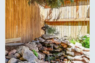 1221 Braewood Avenue, Highlands Ranch, CO 80129 - Photo 31