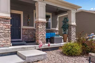 1011 Lavender Pl, Brighton, CO 80640 - Photo 3