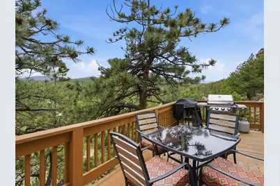 117 Spruce Trail, Bailey, CO 80421 - Photo 33