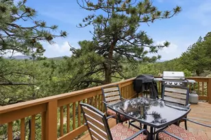117 Spruce Trail, Bailey, CO 80421 - Photo 33