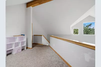 117 Spruce Trail, Bailey, CO 80421 - Photo 13