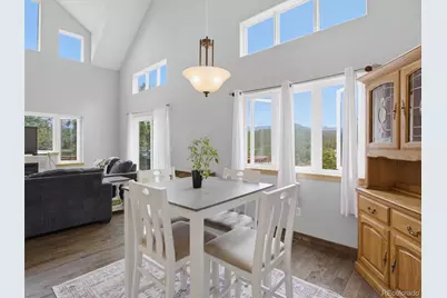 117 Spruce Trail, Bailey, CO 80421 - Photo 7