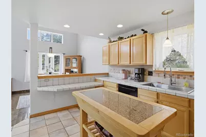 117 Spruce Trail, Bailey, CO 80421 - Photo 11