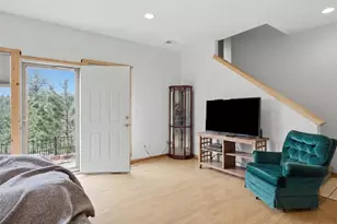 117 Spruce Trail, Bailey, CO 80421 - Photo 29