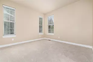 10703 Braesheather Ct, Highlands Ranch, CO 80126 - Photo 41