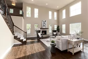 10703 Braesheather Ct, Highlands Ranch, CO 80126 - Photo 33