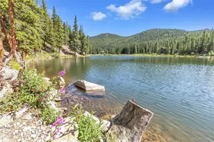 169 Lake Rd, Idaho Springs, CO 80452 - Photo 11