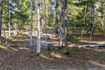 00 Severance Lodge Rd, Black Hawk, CO 80422 - Photo 17