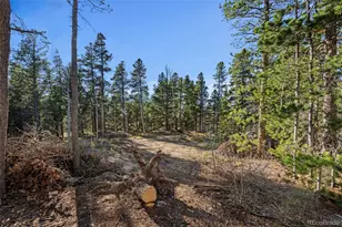 00 Severance Lodge Rd, Black Hawk, CO 80422 - Photo 1