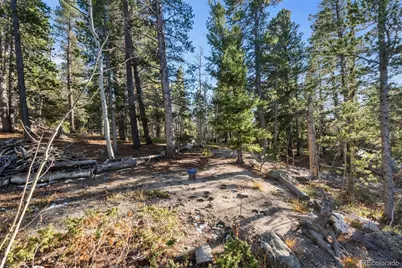 00 Severance Lodge Rd, Black Hawk, CO 80422 - Photo 19
