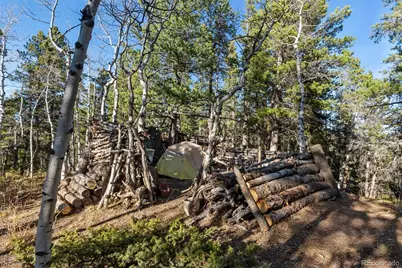 00 Severance Lodge Rd, Black Hawk, CO 80422 - Photo 13