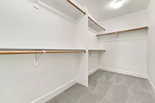 2895 Geneva St, Denver, CO 80238 - Photo 33