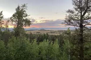 702 Bellows Rd, Hartsel, CO 80449 - Photo 47