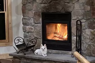 702 Bellows Rd, Hartsel, CO 80449 - Photo 17