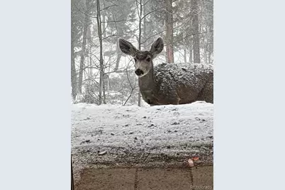 702 Bellows Road, Hartsel, CO 80449 - Photo 7