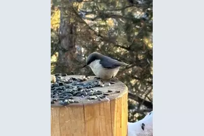 702 Bellows Road, Hartsel, CO 80449 - Photo 9