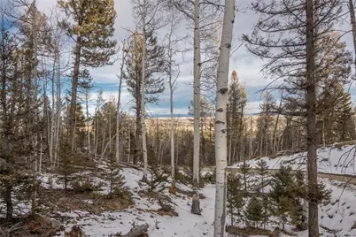 702 Bellows Road, Hartsel, CO 80449 - Photo 43