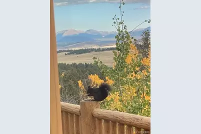 702 Bellows Road, Hartsel, CO 80449 - Photo 45