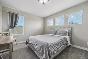 754 Blue Teal Dr, Castle Rock, CO 80104 - Photo 33