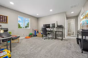 754 Blue Teal Dr, Castle Rock, CO 80104 - Photo 25