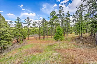 8093 Acoma Drive, Larkspur, CO 80118 - Photo 9