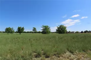 13271 Holly St, Thornton, CO 80241 - Photo 29