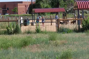 13271 Holly St, Thornton, CO 80241 - Photo 37