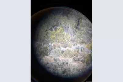 15086 45 1/2 Road, De Beque, CO 81643 - Photo 33