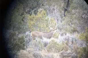 15086 45 1/2 Rd, De Beque, CO 81643 - Photo 33