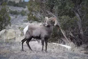 15086 45 1/2 Rd, De Beque, CO 81643 - Photo 31