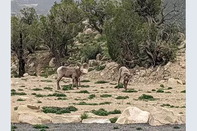 15086 45 1/2 Road, De Beque, CO 81643 - Photo 29