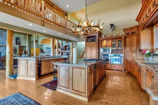 15958 Shadow Mountain Ranch Rd, Larkspur, CO 80118 - Photo 11