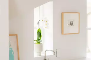 1920 E 18th Ave, Denver, CO 80206 - Photo 7