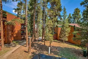 1120 Ski Hill Rd, Breckenridge, CO 80424 - Photo 21