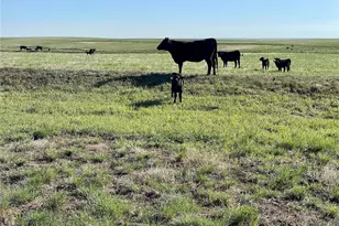 9 County Road 166, Deer Trail, CO 80105 - Photo 1