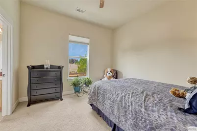 5302 Danvers Court, Castle Rock, CO 80104 - Photo 29