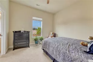 5302 Danvers Ct, Castle Rock, CO 80104 - Photo 29