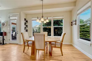 5302 Danvers Ct, Castle Rock, CO 80104 - Photo 11