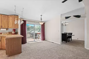 33626 Lutes Rd, Pine, CO 80470 - Photo 15