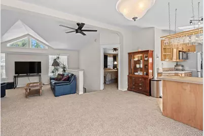 33626 Lutes Road, Pine, CO 80470 - Photo 7