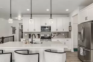 11853 Zebra Grass Wy, Parker, CO 80138 - Photo 9