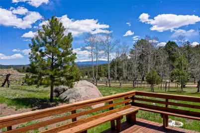 437 Langnis Road, Guffey, CO 80820 - Photo 3