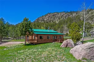 437 Langnis Rd, Guffey, CO 80820 - Photo 5