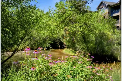 10331 W Girton Drive #2, Lakewood, CO 80227 - Photo 29