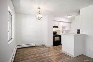 2225 S Jasmine St, Denver, CO 80222 - Photo 11