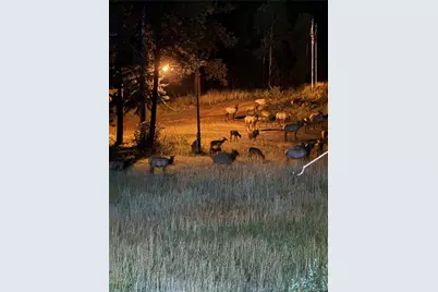 60 N County Highway 67, Sedalia, CO 80135 - Photo 49