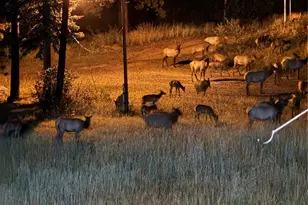 60 N Co Hwy 67, Sedalia, CO 80135 - Photo 49